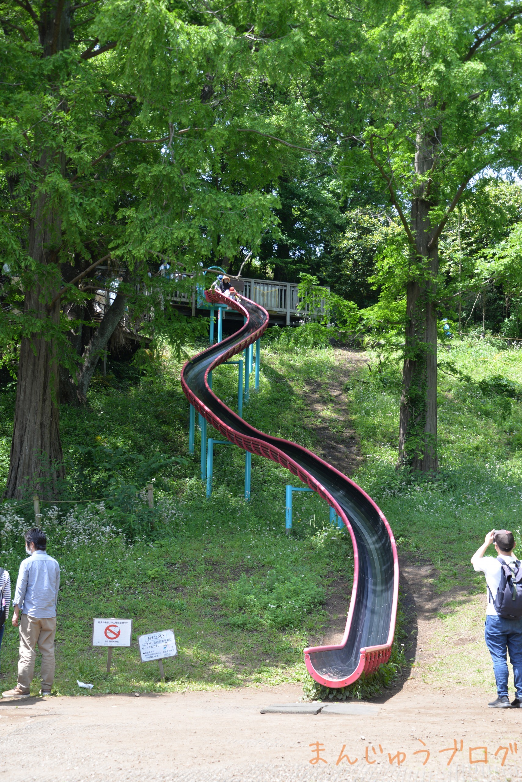 大自然！ワイド滑り台！水遊び！神奈川県立三ツ池公園 | まんじゅうブログ